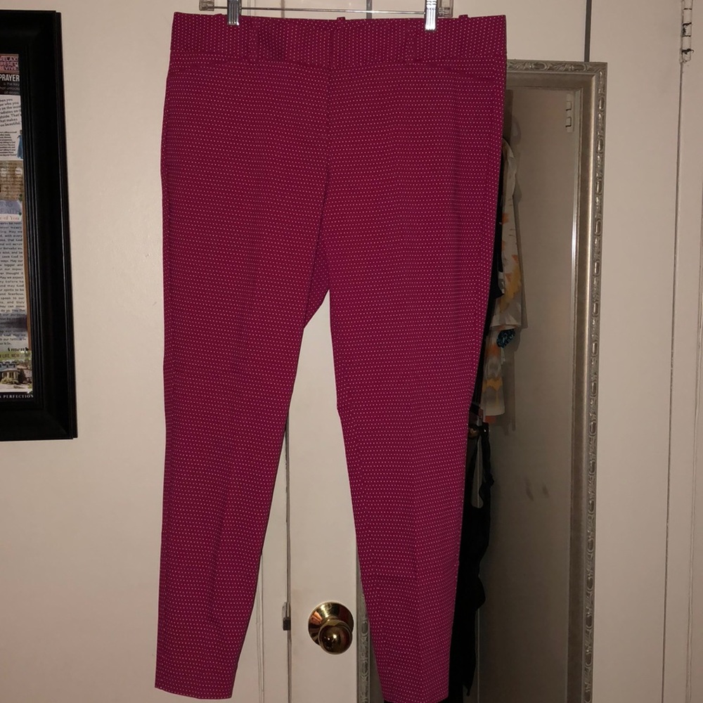 The Limited Exact Stretch Ankle Pants 14